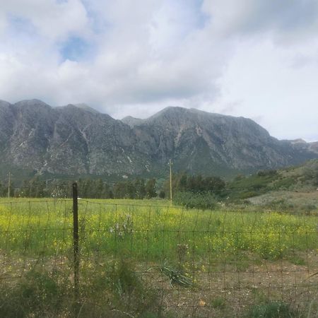 Localita Zarvenu Villa Siniscola Kültér fotó