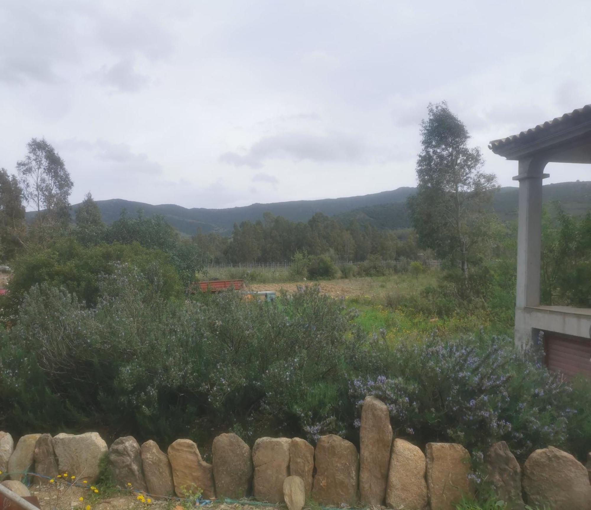 Localita Zarvenu Villa Siniscola Kültér fotó
